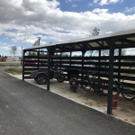 IMG 0277