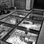 Parquet Vitre