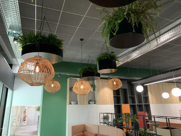 Supports suspendus pour végétaux